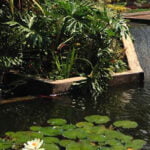 parque del agua bucaramanga